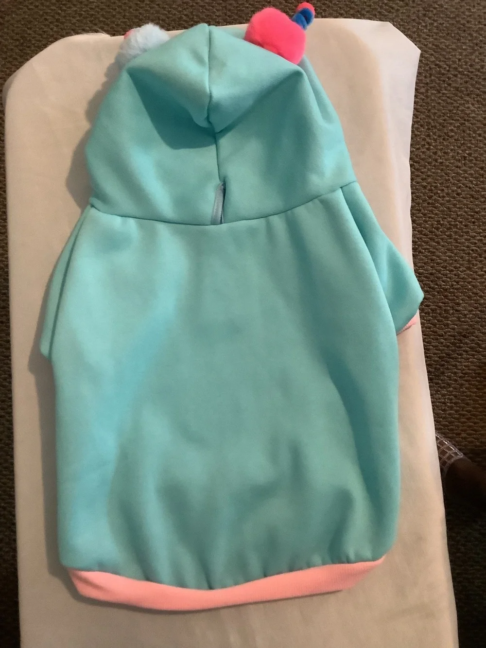 Light Aqua Plush Hoodie - Large